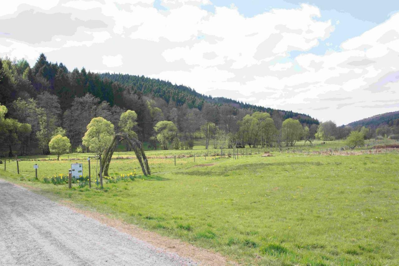 Ferienhaus Salmtal Himmerod Grosslittgen Экстерьер фото
